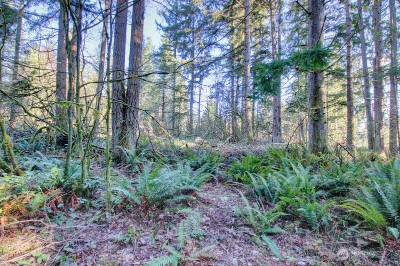 5353 Wildlife acres , Sedro Woolley, WA 98284