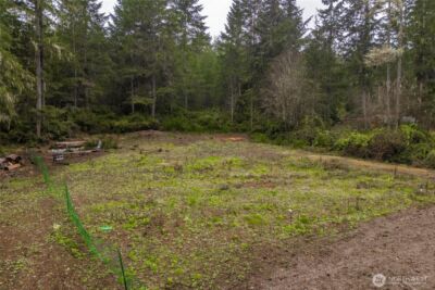 41 E Coon Drive N, Belfair, WA 98528 - Photo 35