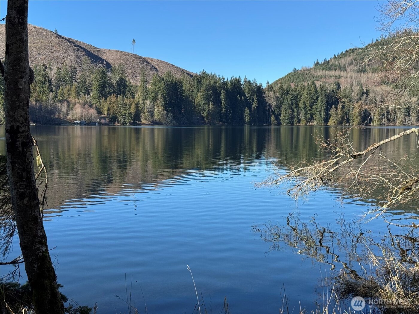 0 Mineral Creek Road N, Mineral, WA 98355