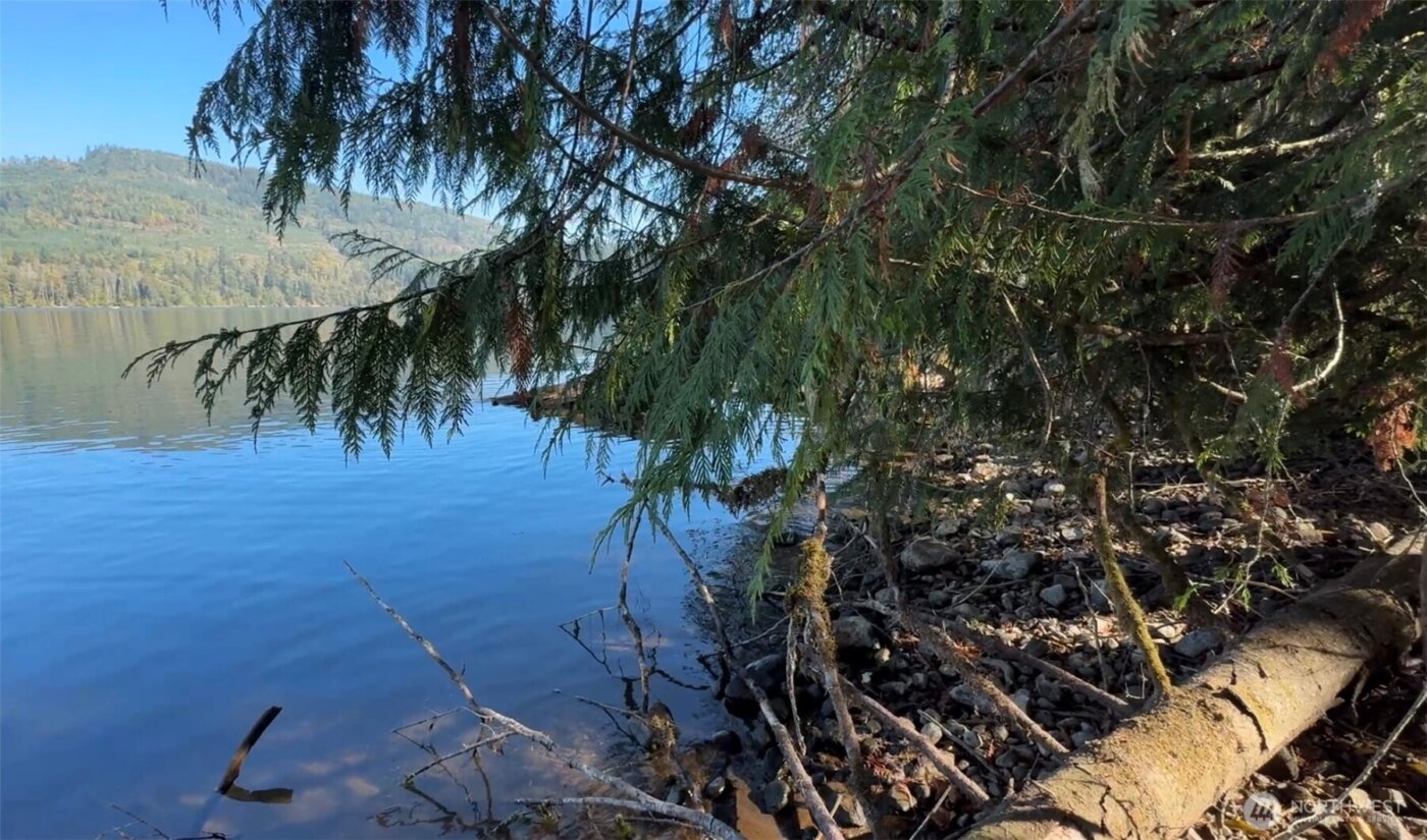 0 Mineral Creek Road N, Mineral, WA 98355