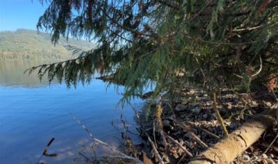 0 Mineral Creek Road N, Mineral, WA 98355 - Photo 13