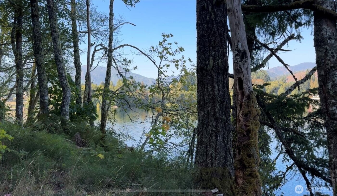 0 Mineral Creek Road N, Mineral, WA 98355