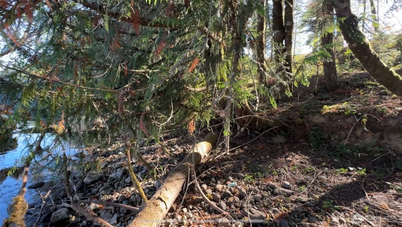 0 Mineral Creek Road N, Mineral, WA 98355