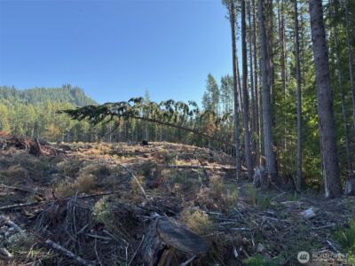 0 Mineral Creek Road N, Mineral, WA 98355 - Photo 18