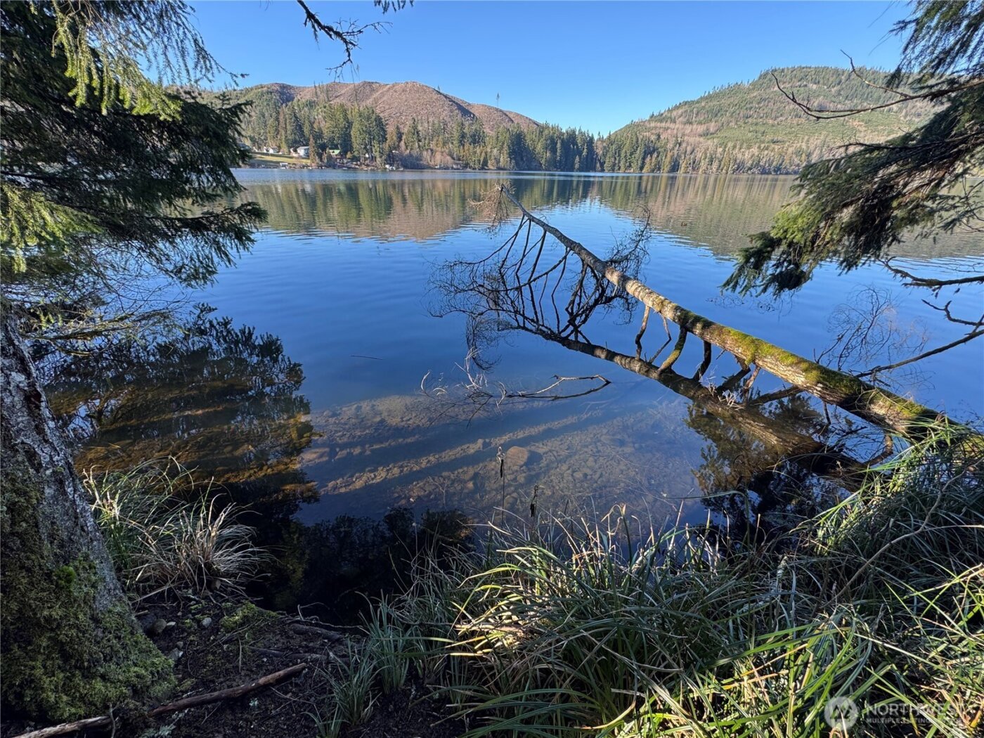 0 Mineral Creek Road N, Mineral, WA 98355