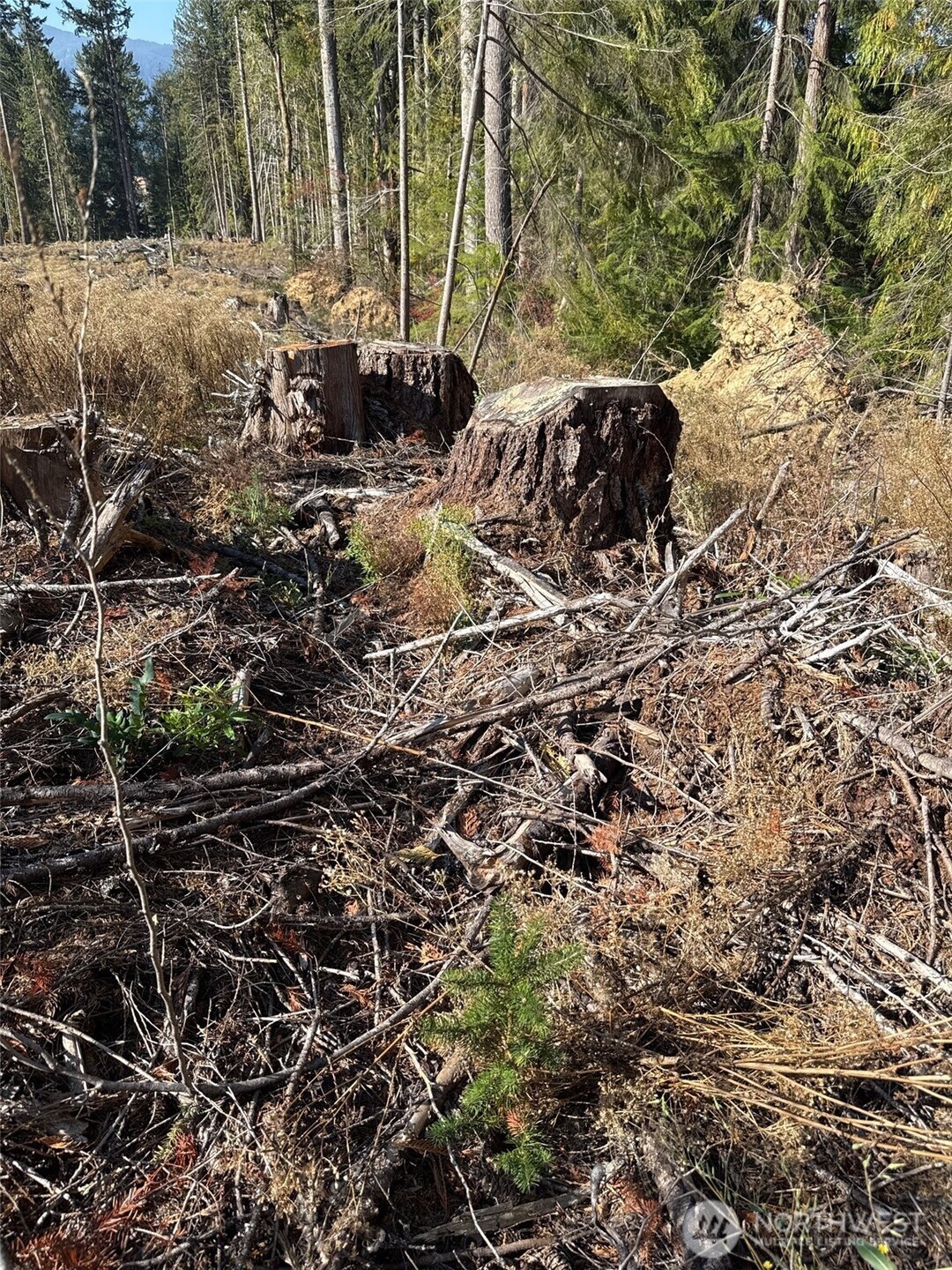 0 Mineral Creek Road N, Mineral, WA 98355