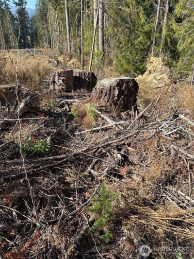 0 Mineral Creek Road N, Mineral, WA 98355 - Photo 20