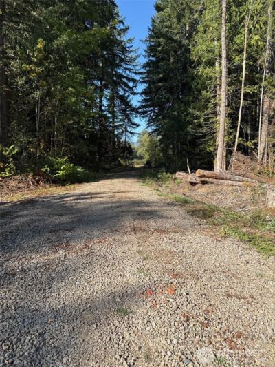 0 Mineral Creek Road N, Mineral, WA 98355 - Photo 21