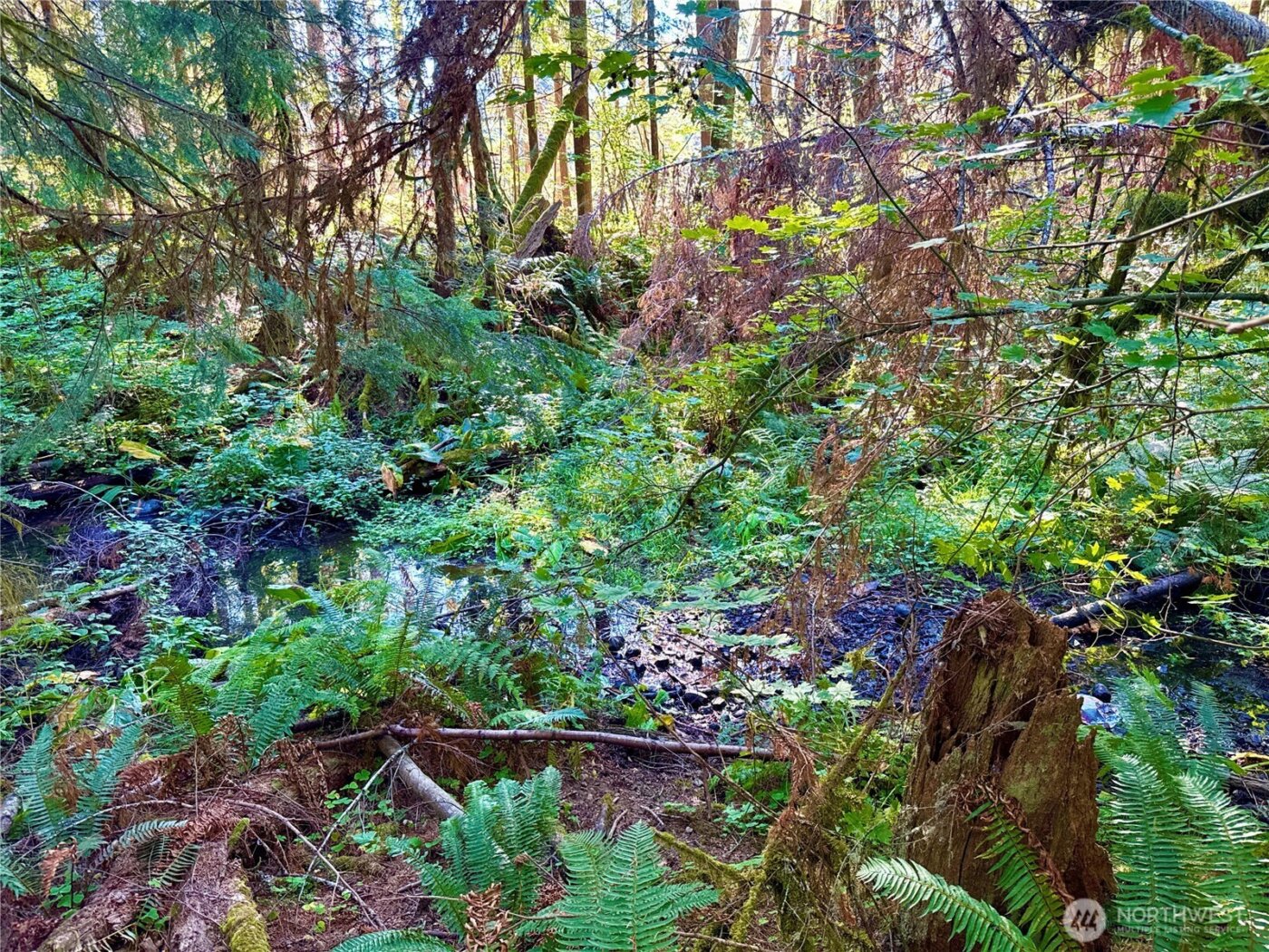 0 Mineral Creek Road N, Mineral, WA 98355