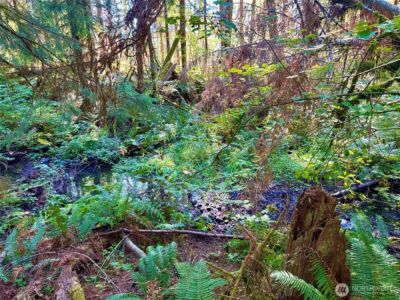 0 Mineral Creek Road N, Mineral, WA 98355 - Photo 22