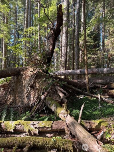 0 Mineral Creek Road N, Mineral, WA 98355 - Photo 23