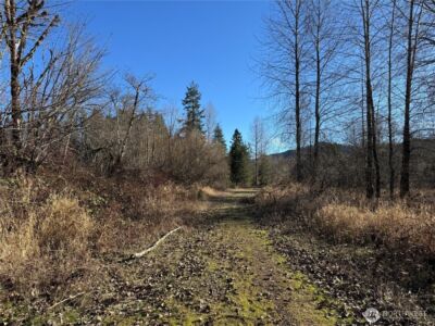 0 Mineral Creek Road N, Mineral, WA 98355 - Photo 26