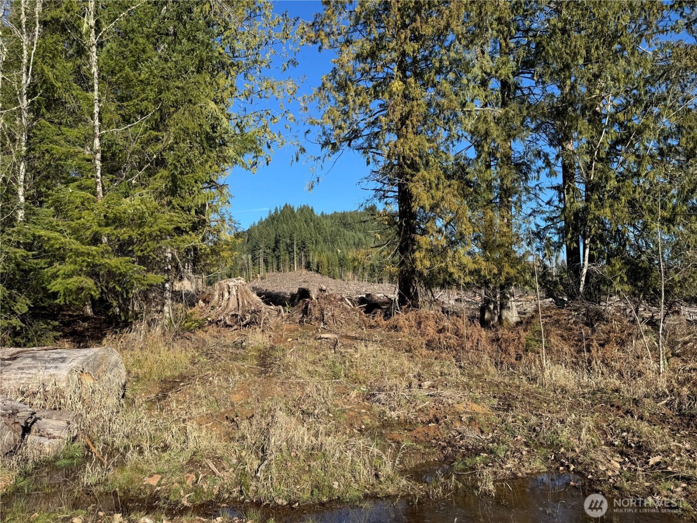 0 Mineral Creek Road N, Mineral, WA 98355