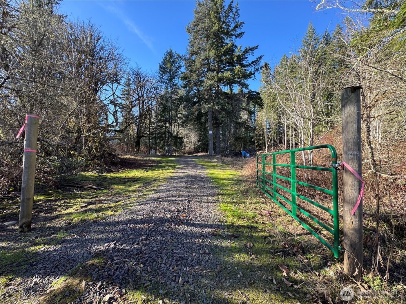 0 Mineral Creek Road N, Mineral, WA 98355