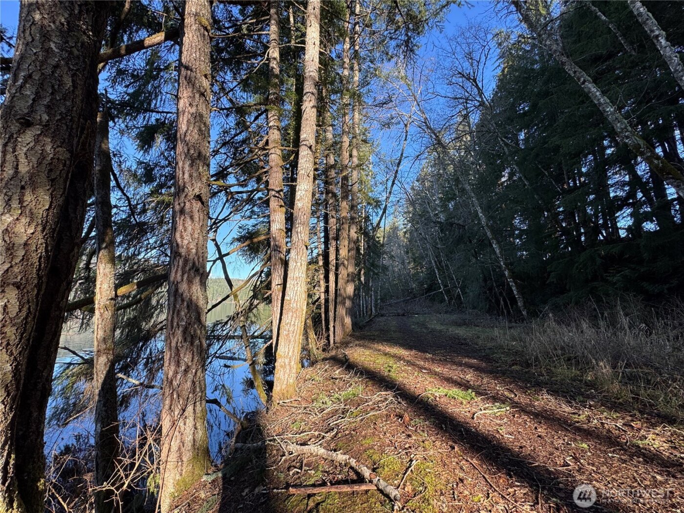 0 Mineral Creek Road N, Mineral, WA 98355