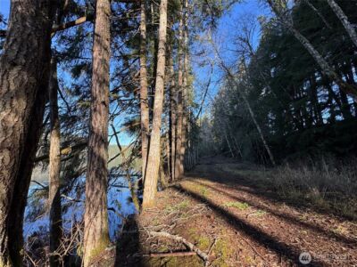 0 Mineral Creek Road N, Mineral, WA 98355 - Photo 30