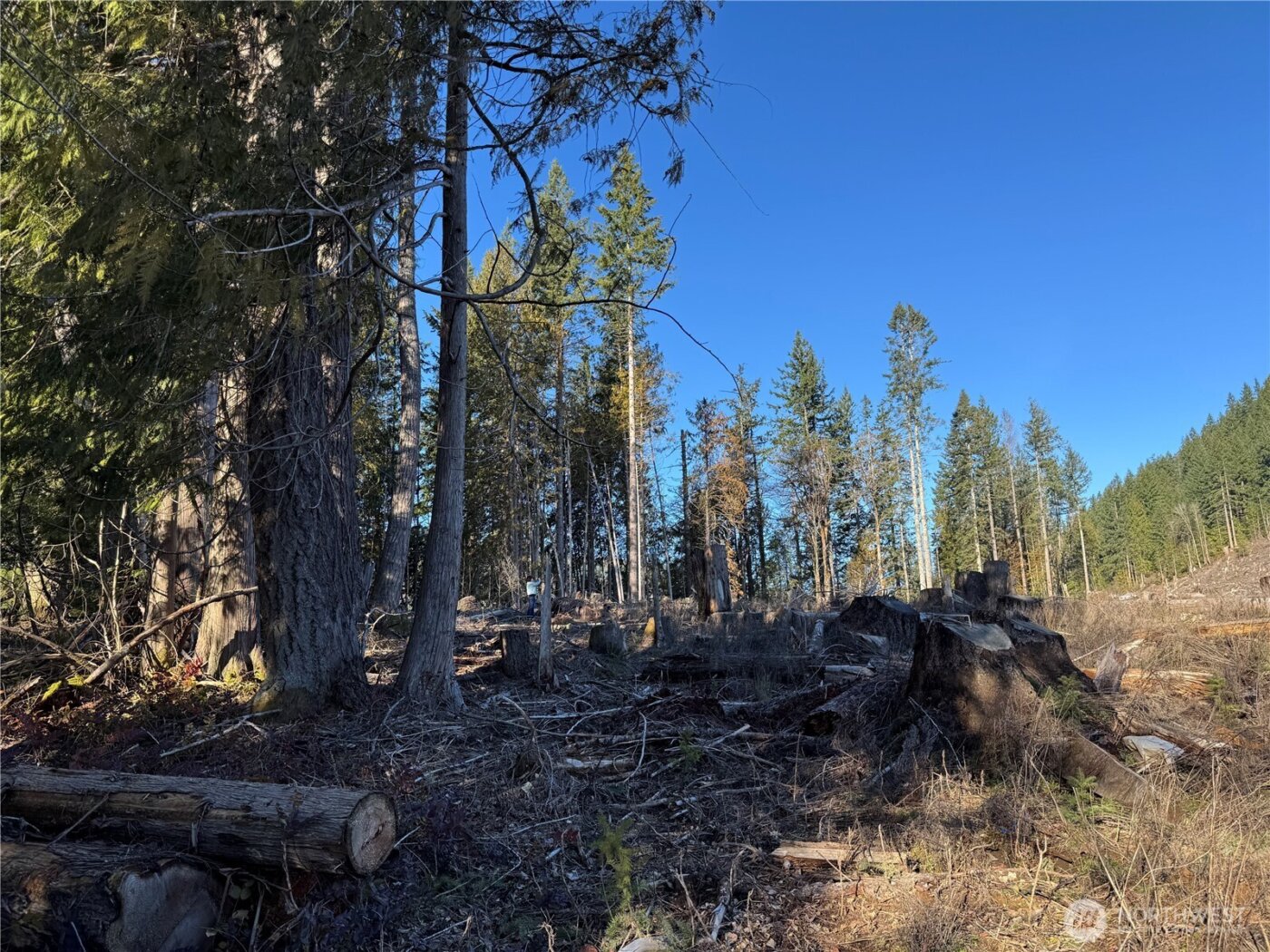 0 Mineral Creek Road N, Mineral, WA 98355