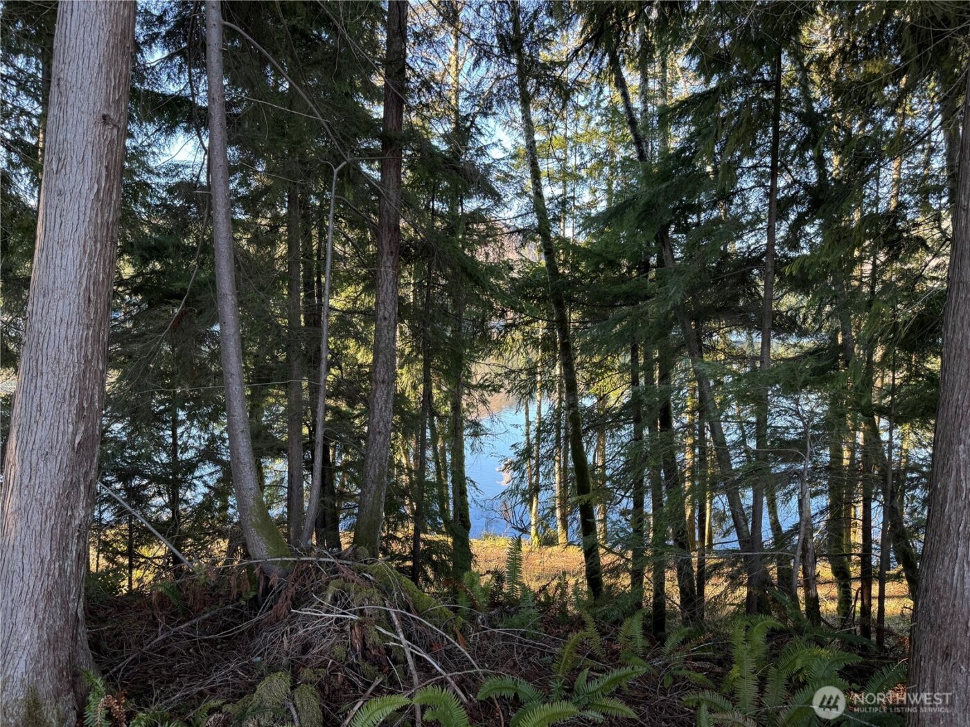 0 Mineral Creek Road N, Mineral, WA 98355