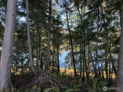 0 Mineral Creek Road N, Mineral, WA 98355 - Photo 33