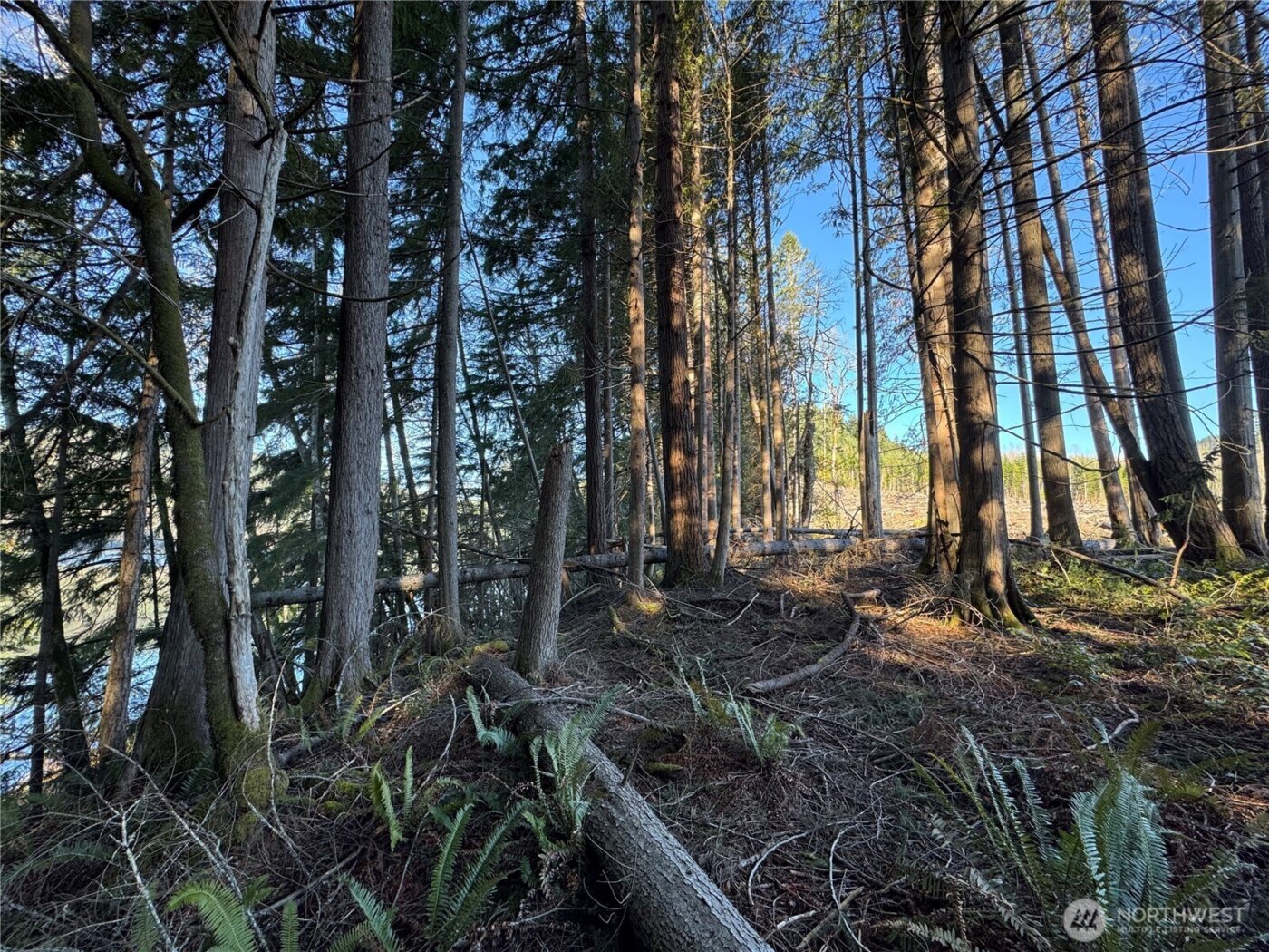 0 Mineral Creek Road N, Mineral, WA 98355