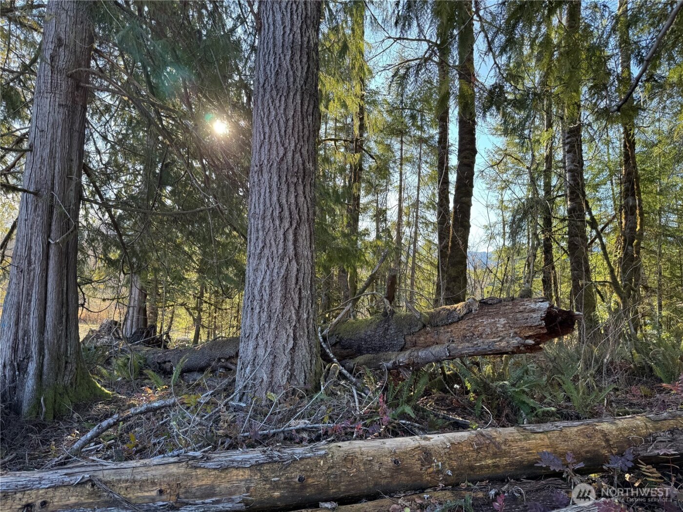 0 Mineral Creek Road N, Mineral, WA 98355