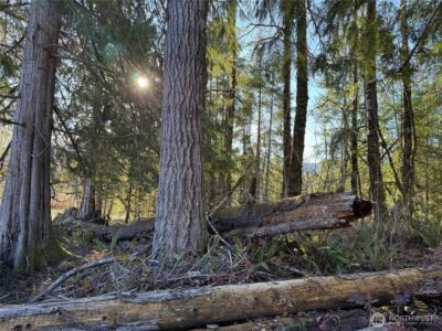 0 Mineral Creek Road N, Mineral, WA 98355 - Photo 36