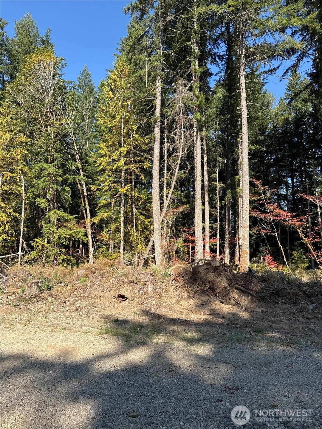 0 Mineral Creek Road N, Mineral, WA 98355