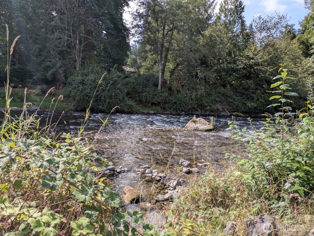 22521 SE 218th Street , Maple Valley, WA 98038-8001