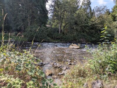 22521 SE 218th Street , Maple Valley, WA 98038-8001 - Photo 19