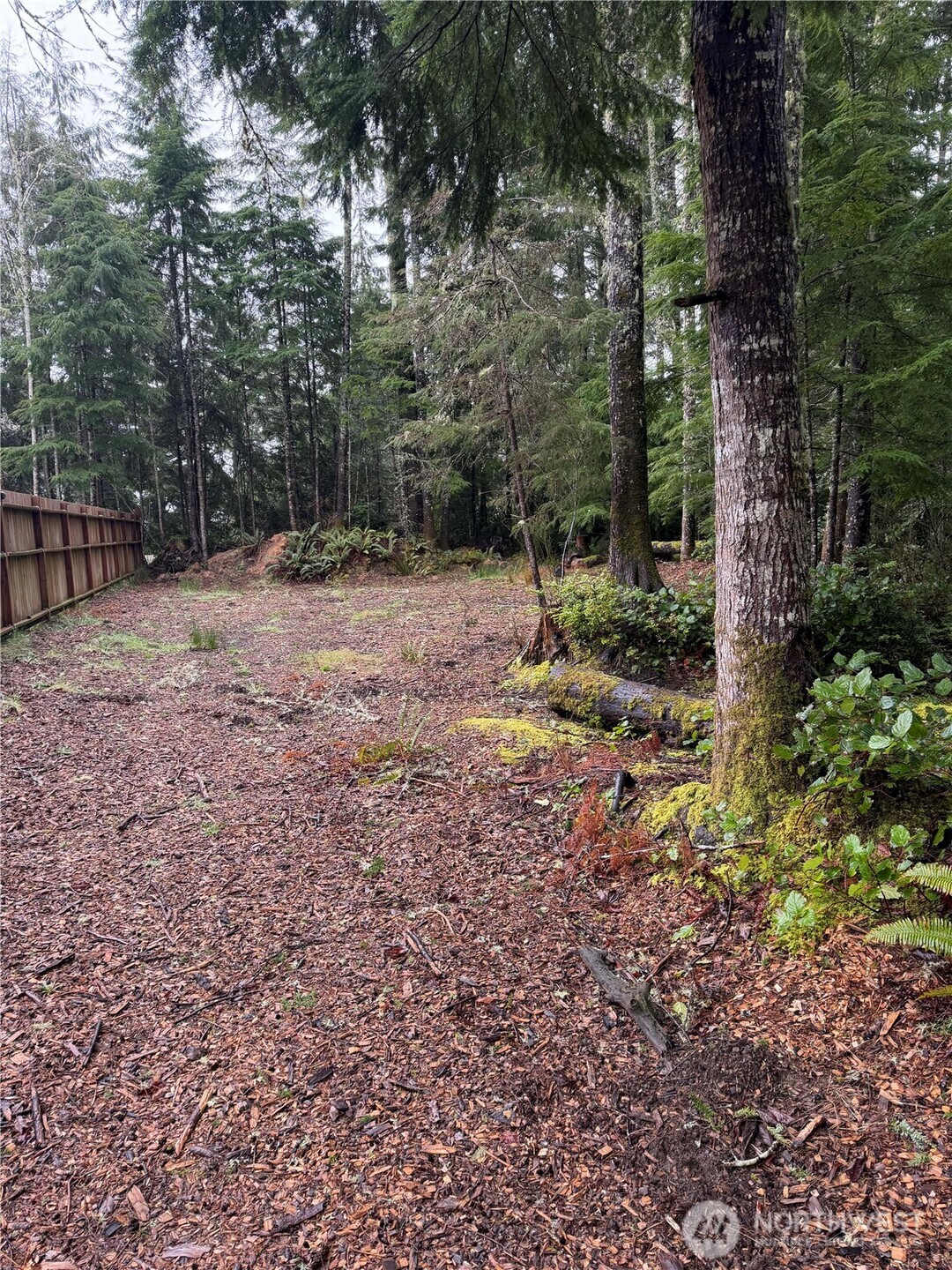 736 Chenois Avenue NE, Ocean Shores, WA 98569