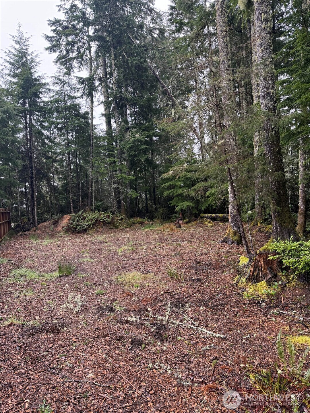 736 Chenois Avenue NE, Ocean Shores, WA 98569