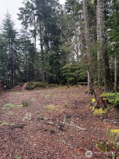 736 Chenois Avenue NE, Ocean Shores, WA 98569 - Photo 10