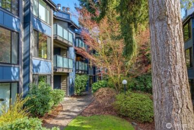 1819 N 107th Street #204, Seattle, WA 98133