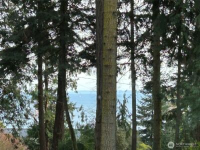 10278 NE Shore Drive , Indianola, WA 98342 - Photo 10
