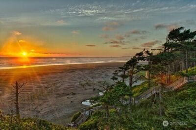 38 Trillium Lane , Pacific Beach, WA 98571 - Photo 36