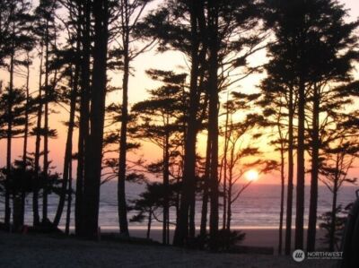 38 Trillium Lane , Pacific Beach, WA 98571 - Photo 37