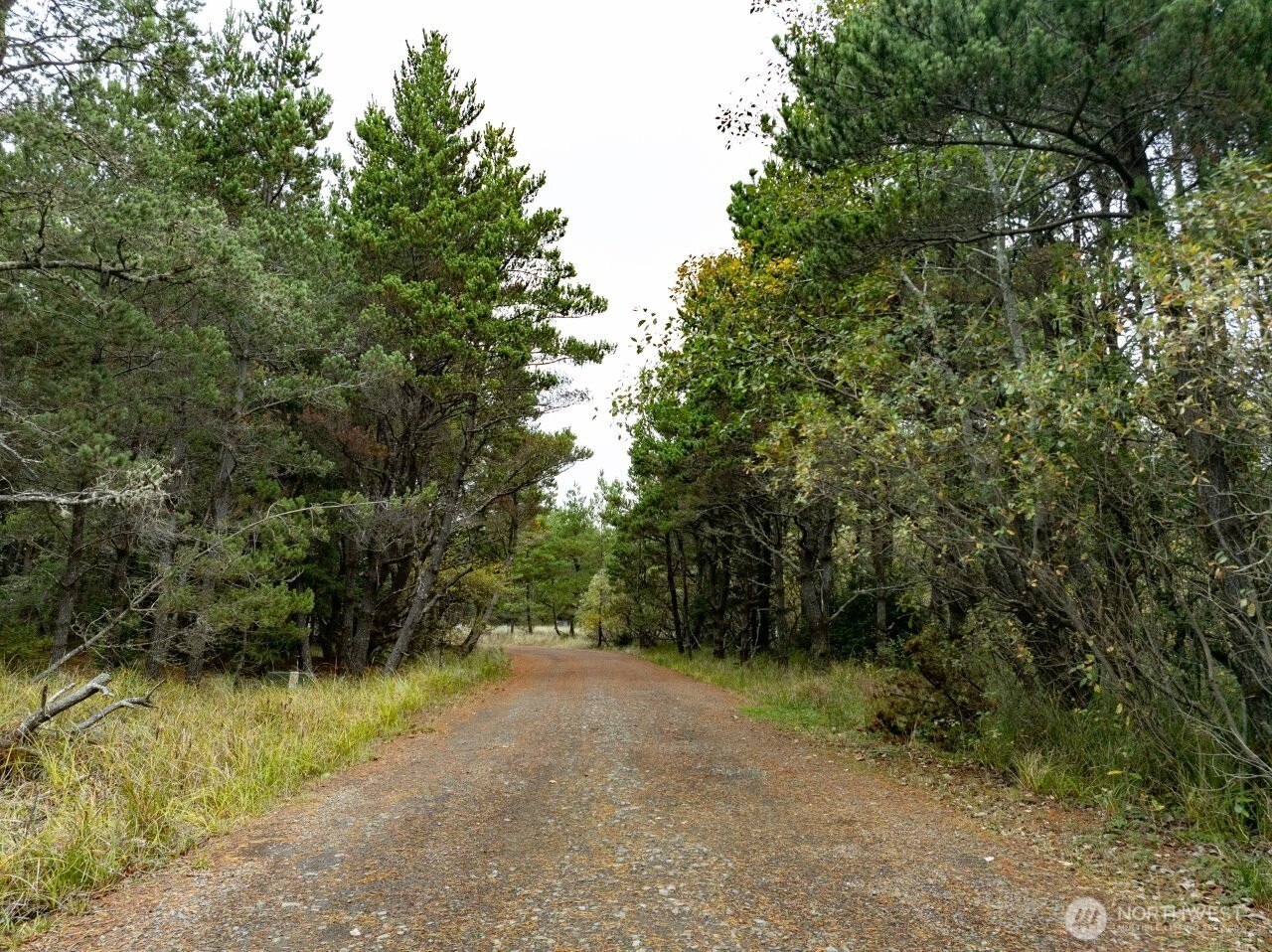 26707 J Lane , Ocean Park, WA 98640