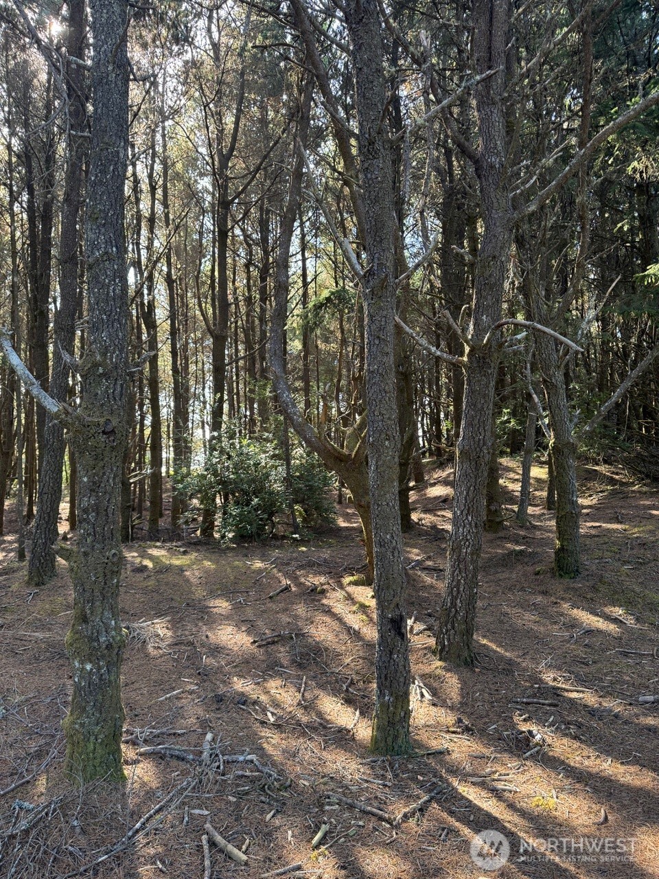 26707 J Lane , Ocean Park, WA 98640