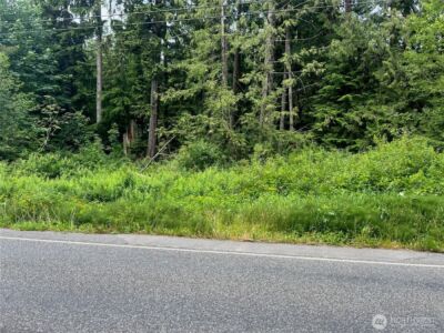 0 Cain Lake Road , Sedro Woolley, WA 98284 - Photo 2