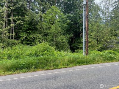 0 Cain Lake Road , Sedro Woolley, WA 98284 - Photo 3