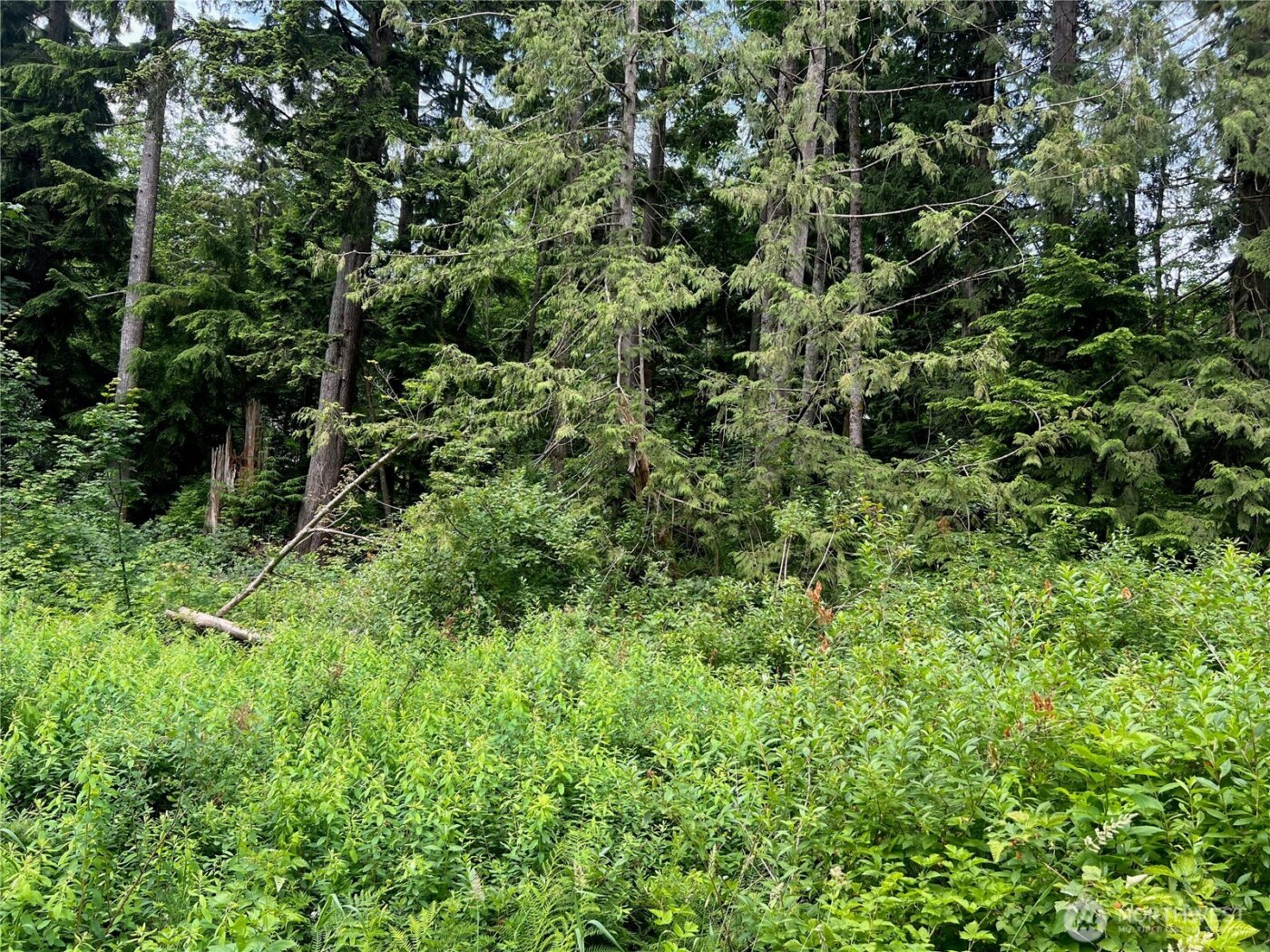 0 Cain Lake Road , Sedro Woolley, WA 98284