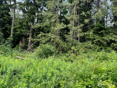 0 Cain Lake Road , Sedro Woolley, WA 98284 - Photo 4