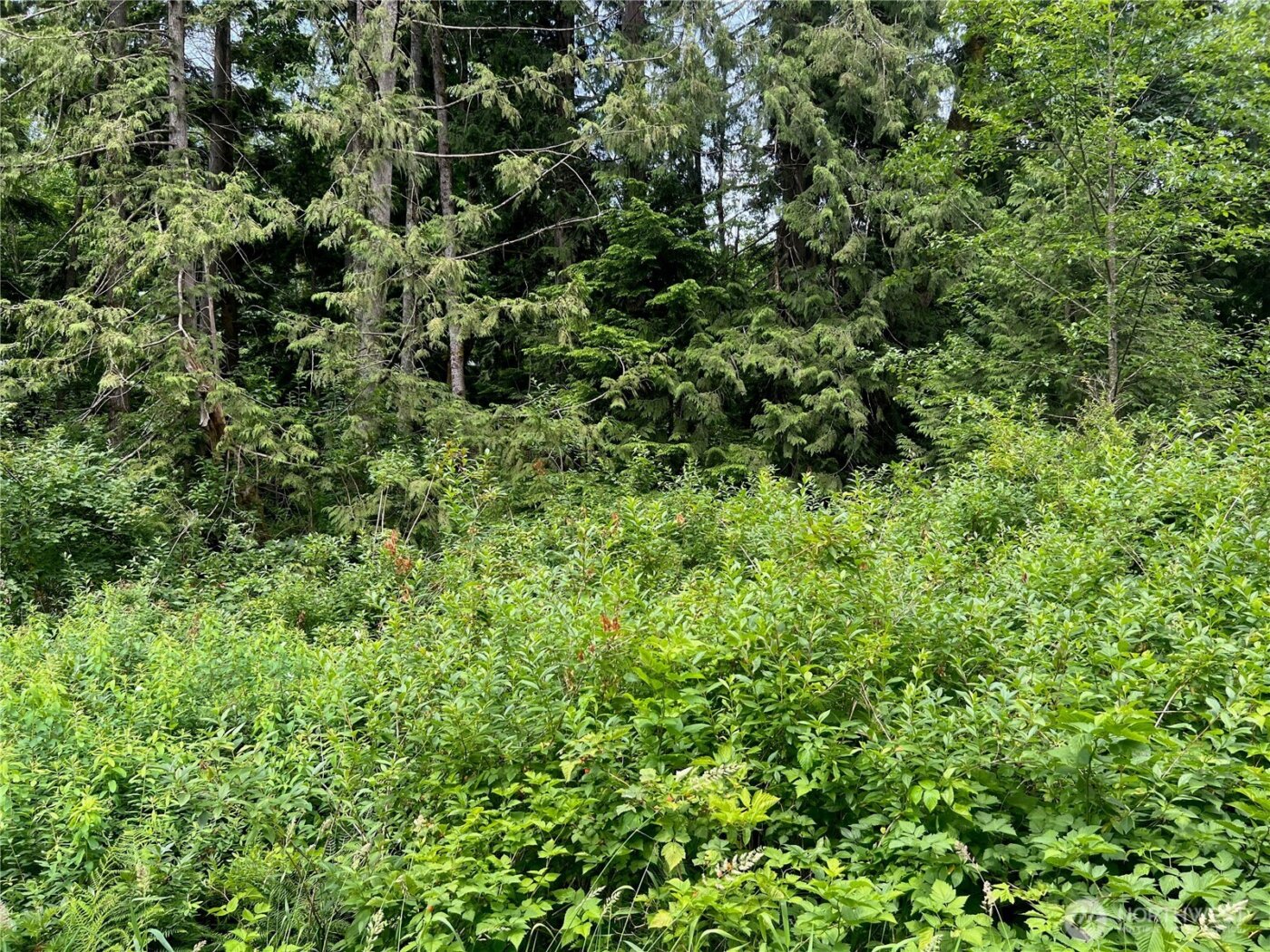 0 Cain Lake Road , Sedro Woolley, WA 98284