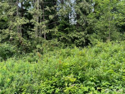 0 Cain Lake Road , Sedro Woolley, WA 98284 - Photo 5