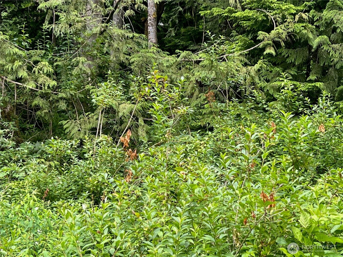 0 Cain Lake Road , Sedro Woolley, WA 98284