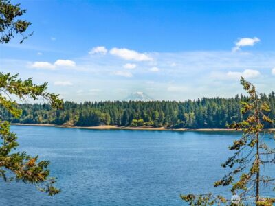 1236 E Island View Road , Grapeview, WA 98546 - Photo 35