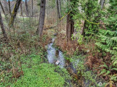 750 Old Belfair Hwy , Belfair, WA 98528 - Photo 38