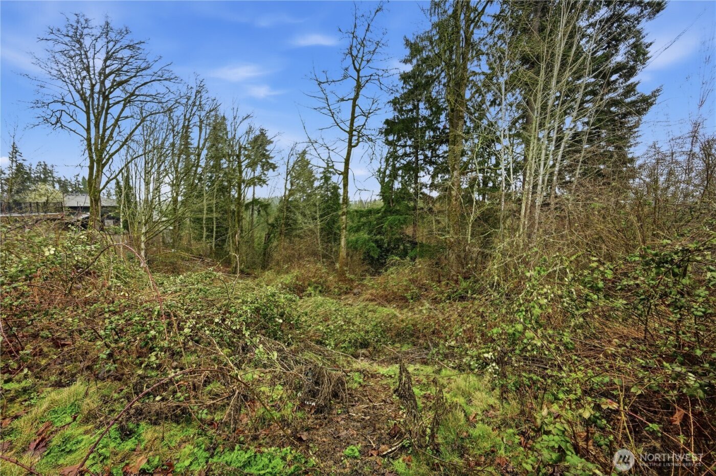 13655 SE 88th Way , Newcastle, WA 98059