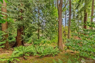 10554 NE 150th Court , Bothell, WA 98011 - Photo 33
