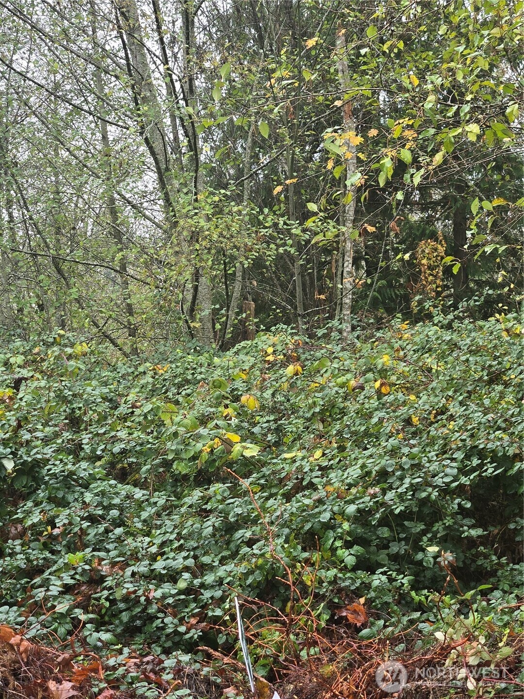 4 SE Sinclair View Drive , Port Orchard, WA 98366